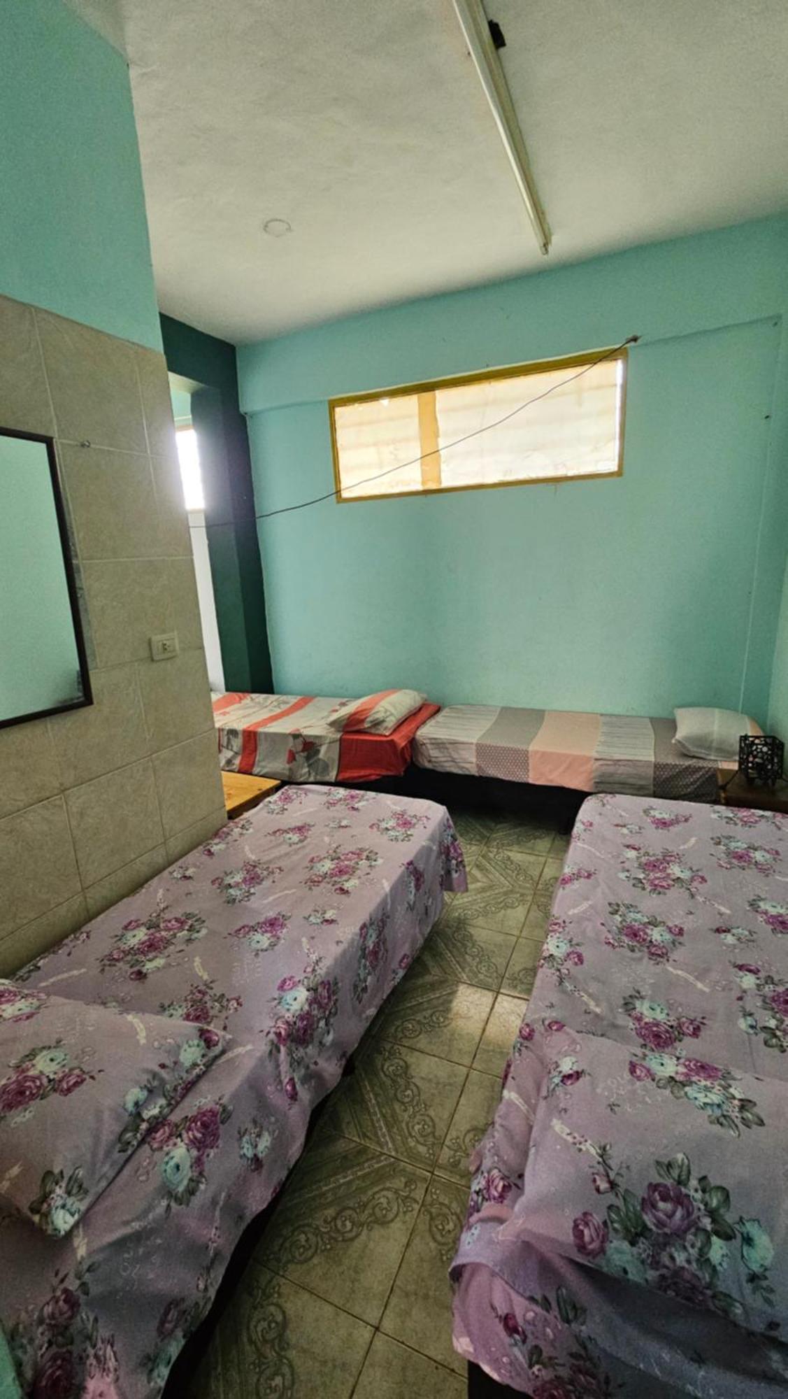 Apartament Departamentos Chow Chow Posadas Zewnętrze zdjęcie